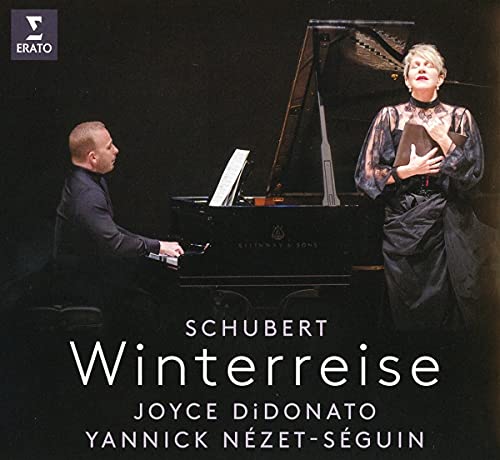 Franz Schubert - Winterreise