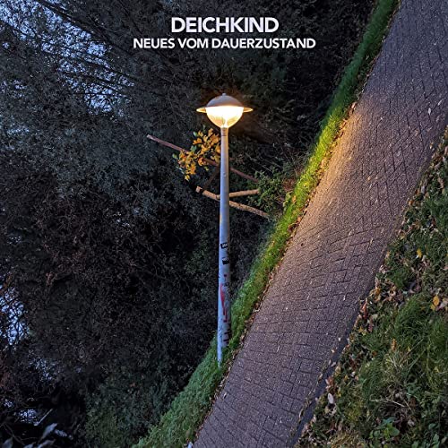 Neues Vom Dauerzustand (2LP) [Vinyl LP]