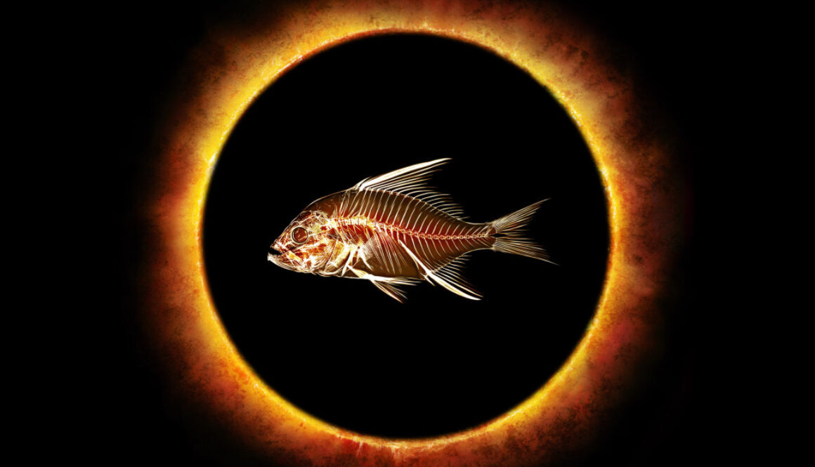 Fishheads_Eclipse-Logo
