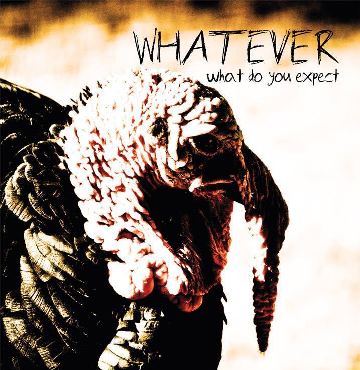 Rotzig, roh, reißt mit – Whatever mit “what do you expect”
