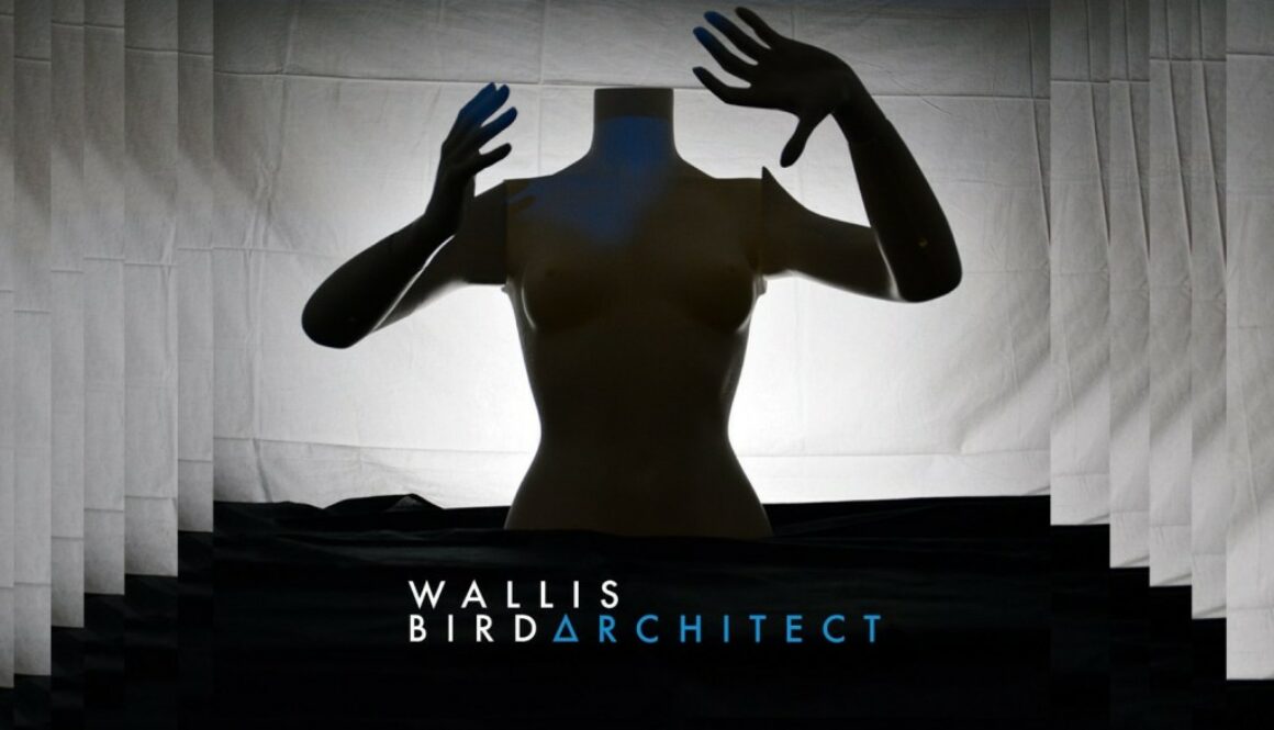 Wallis_Bird