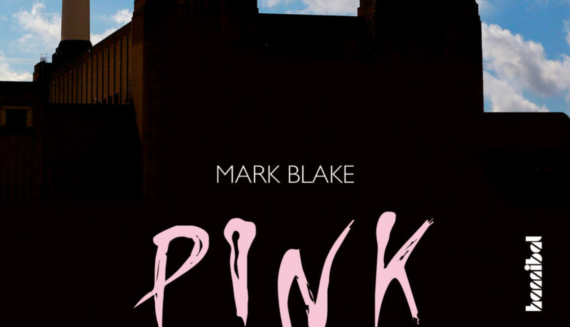 pink-floyd_die-definitive-biografie