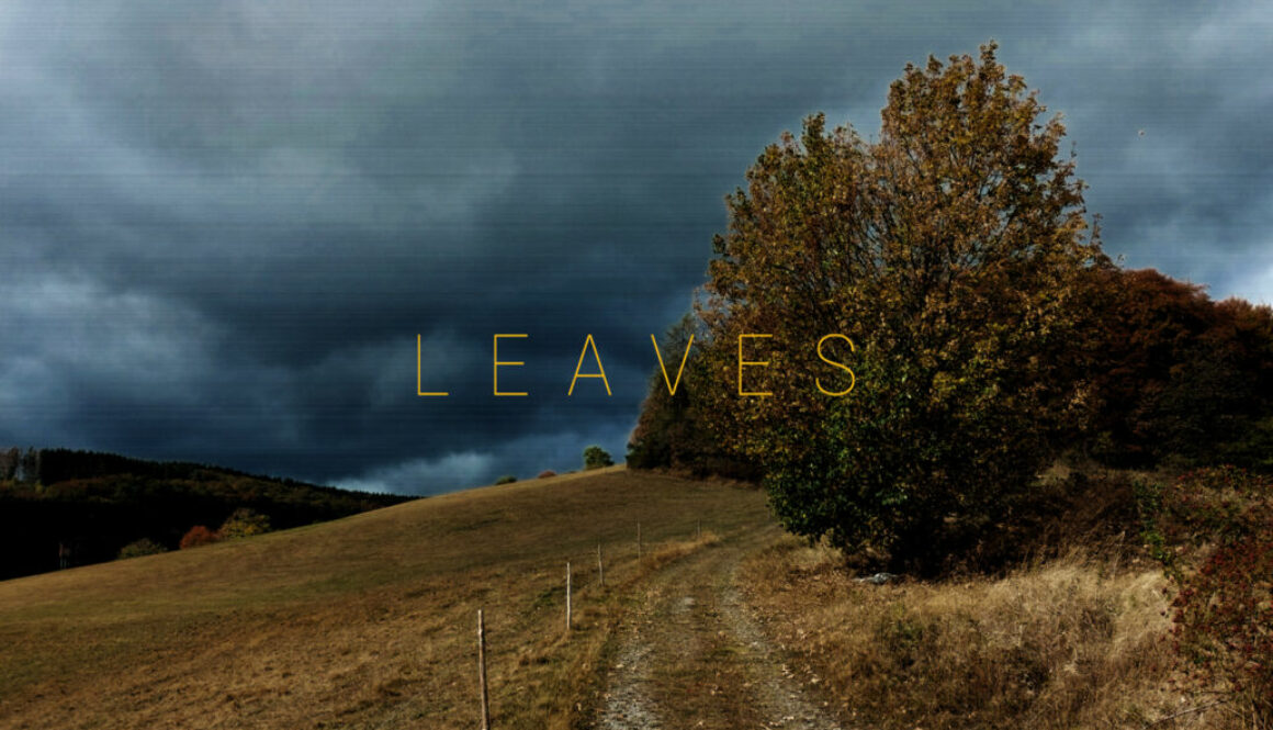 LEAVES_Leaves_Cover