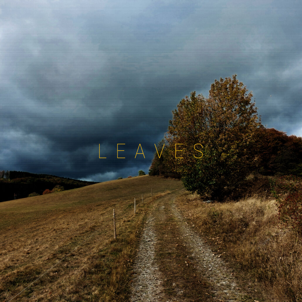 Leaves: Emo-Punk-Debüt bei Midsummer Records