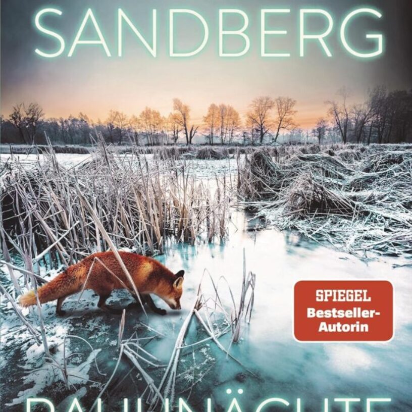 Eine junge Frau auf der Suche nach ihren Wurzeln