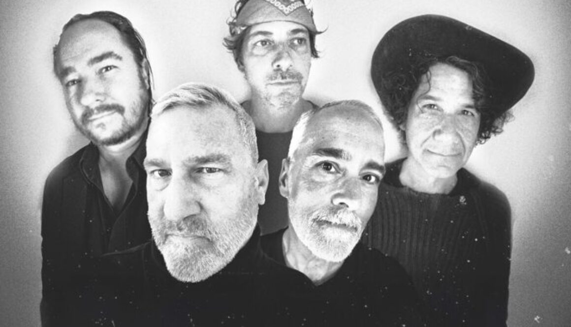 the afghan whigs