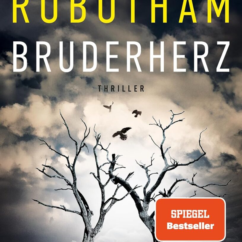 Ein Stand-alone-Thriller um die Suche nach Gerechtigkeit