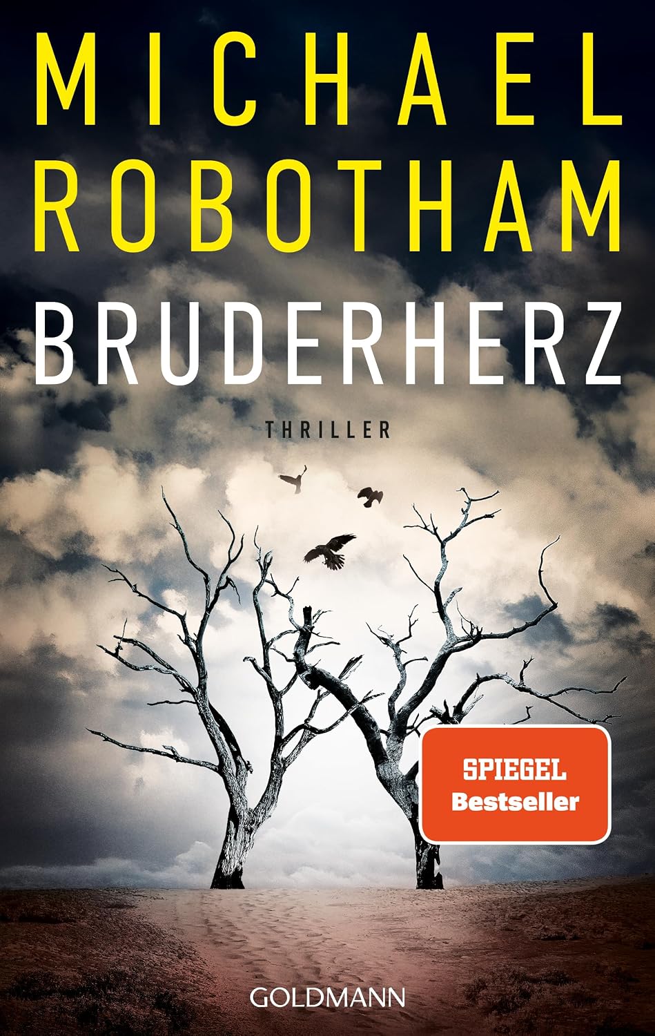 Ein Stand-alone-Thriller um die Suche nach Gerechtigkeit